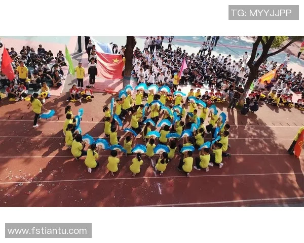 专访杨芳：探寻网球界的成功秘诀与奋斗历程